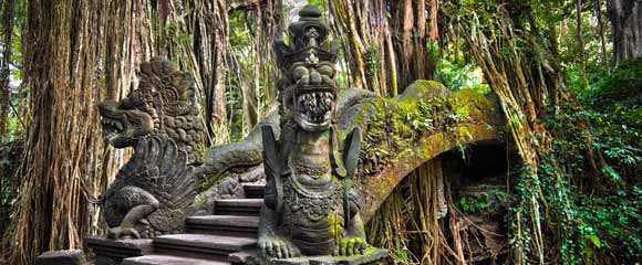BALI UBUD TOUR