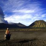 Pony Ride To Get Closer To Mount Bromo