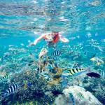 Wall Bay - Snorkeling Nusa Penida