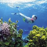 Snorkeling - Bali Hai Reef Cruise