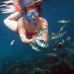 Fish feeding while snorkeling - Bounty Day Cruise Nusa Lembongan