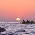 Dolphin and The Wooden Boat When Sunrise - Bali Dolphin Watching Tour