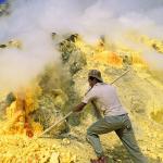 Worker Take Out Yellow Sulfur From Buttom