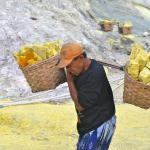 Worker Carry Out Yellow Sulfur