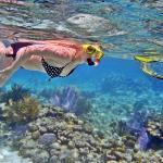 Bali Water Sports - Snorkeling