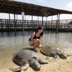 Bali Water Sports - Turtle Island