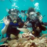 Bali Water Sports - Diving