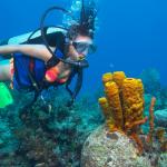 Bali Water Sports - Diving