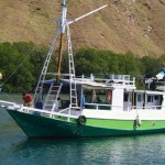 Komodo Tour 2 Days 1 Night - Boat