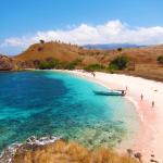 Komodo Tour Package - Pink Beach For Snorkeling and Relaxing